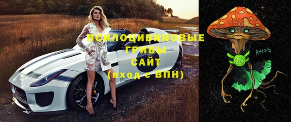 2c-b Ладушкин