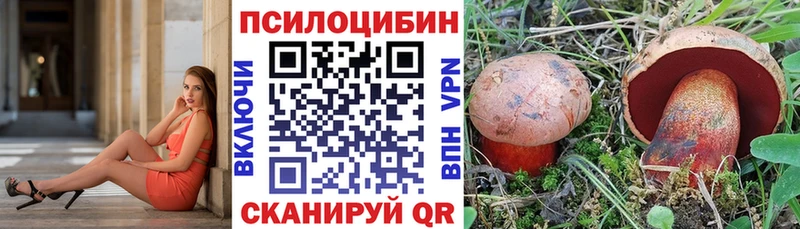 Псилоцибиновые грибы прущие грибы  Купить закладки  Называевск 